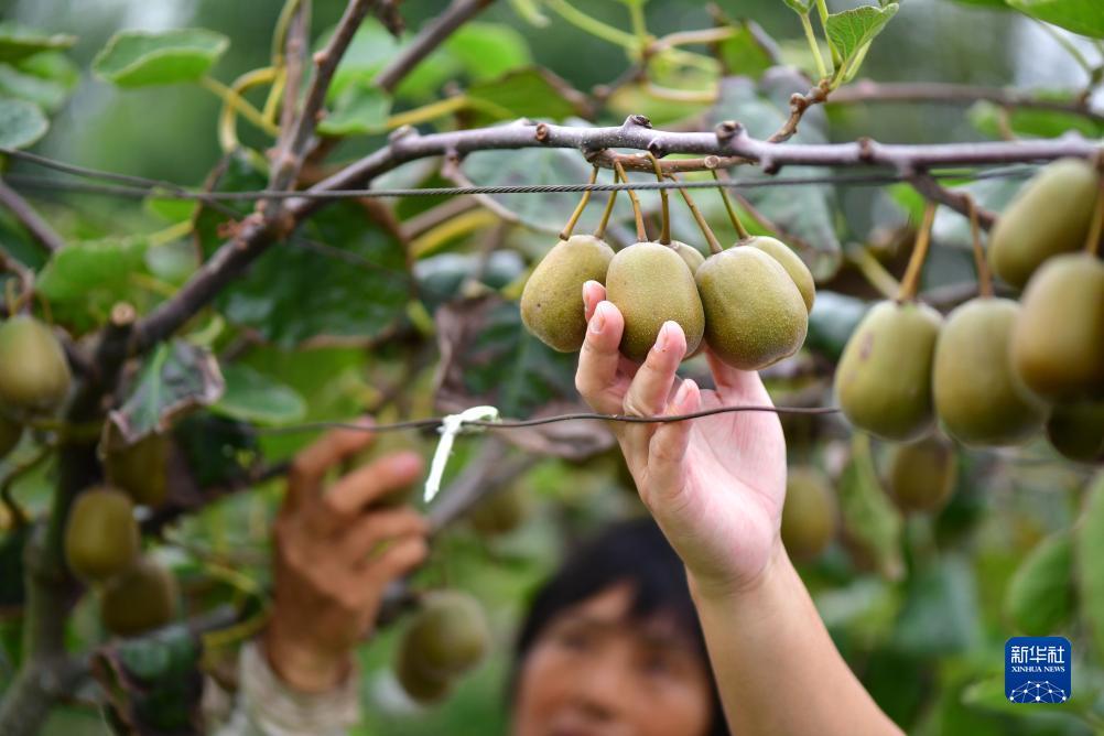 奔驰宝马游戏平台